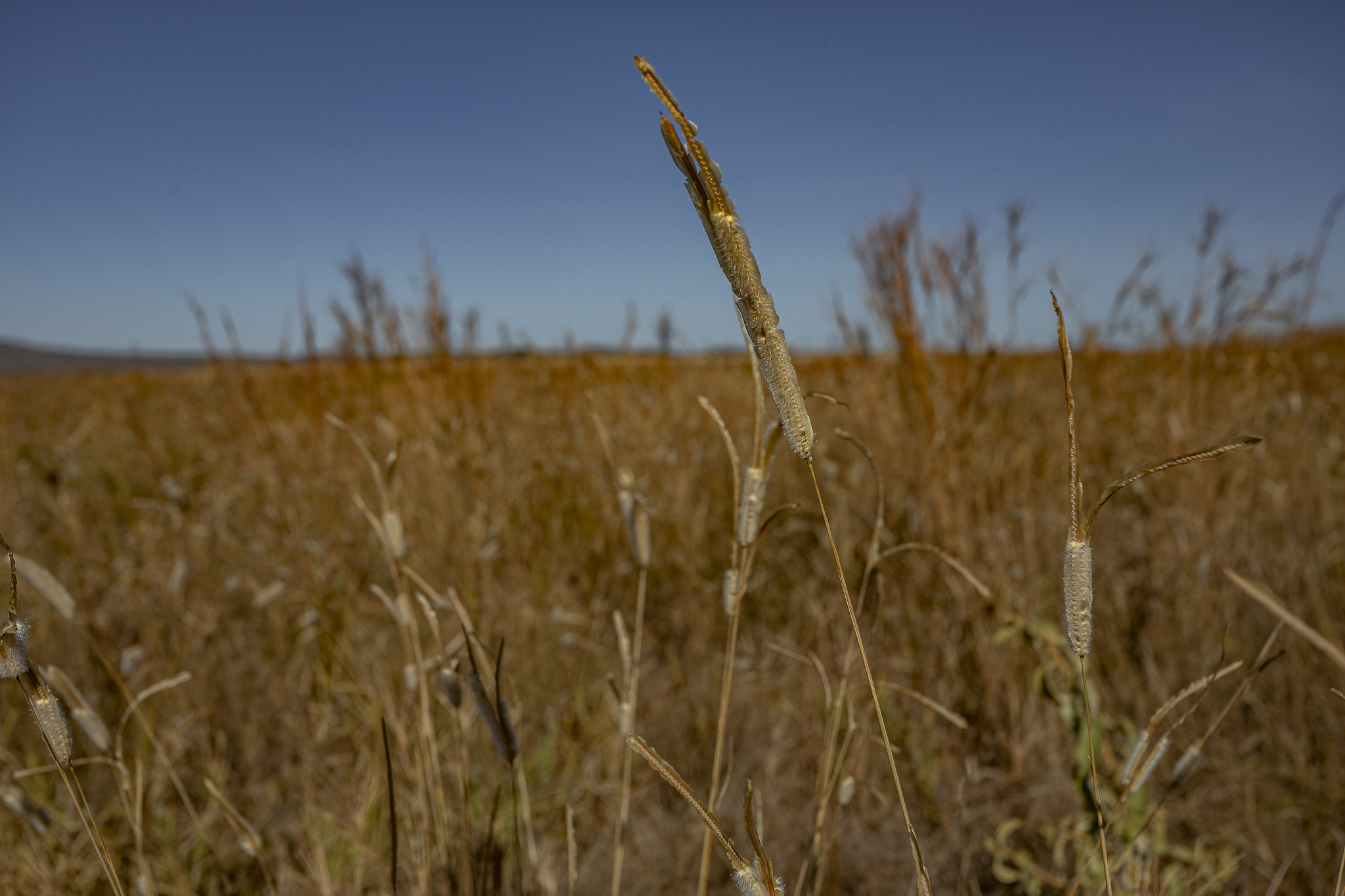 Imagem Restauração Ecológica PA4--10 da expedição de expedicoes/restauracao_25